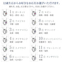 ベビーリング ネックレス レディース ダイヤモンド 12誕生石 2連 リングトップ dr66