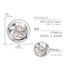 ピアス レディース ダイヤモンド ピアス フクリン K18 PT900 プラチナ ゴールド 0.2ct se56-0005