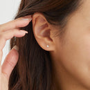 ダイヤモンドピアス 一粒ダイヤ 0.2カラットに付属している品質保証カードとピアスケース